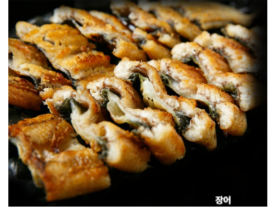 장어 사진