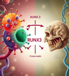 노화와 암의 갈림길