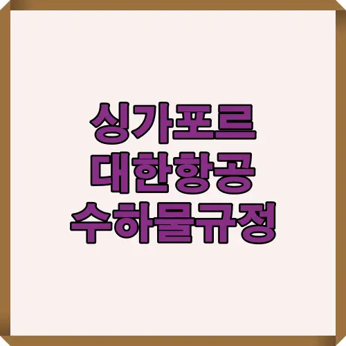 싱가포르 노선 전용 수하물 규정 썸네일 이미지입니다
