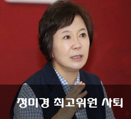 정미경 국회의원 