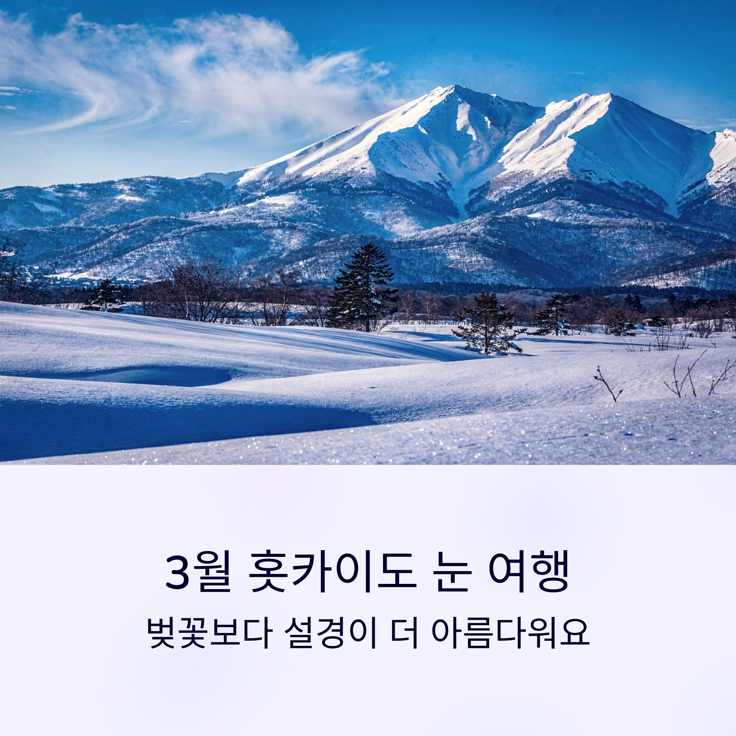 3월 홋카이도 눈 여행, 벚꽃보다 설경이 더 아름다워요