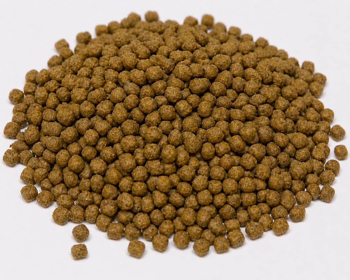 나노 피쉬 먹이 추천: 플레이크, 펠렛, 그라뉼, 라이브푸드 비교로 끝내는 선택 가이드