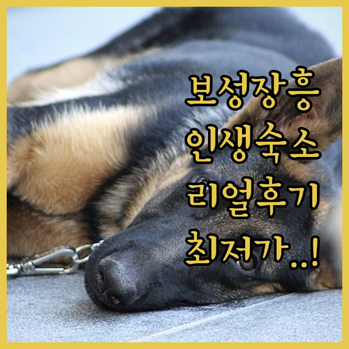 보성 장흥 여행 숙소 추천 리얼 후기..