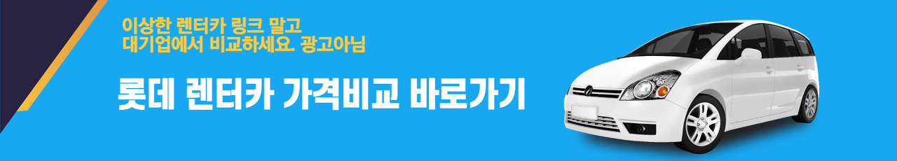 법인 장기 렌트 3