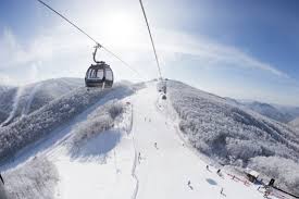 2025-2026 스키장 개장 예정일 총정리