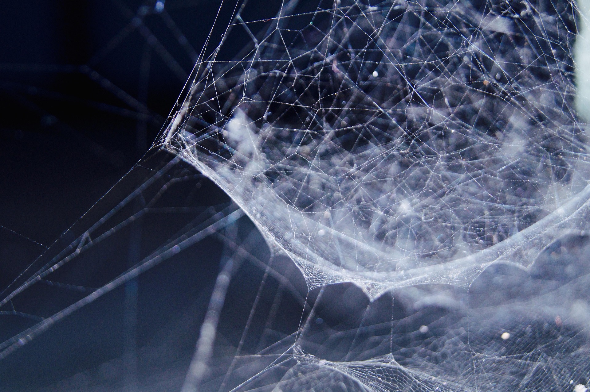 글로벌 주식 Atlassian의 AI·자동화 기능(Atlassian Intelligence)이 제품 차별화와 가격 전가력으로 연결되는 경로