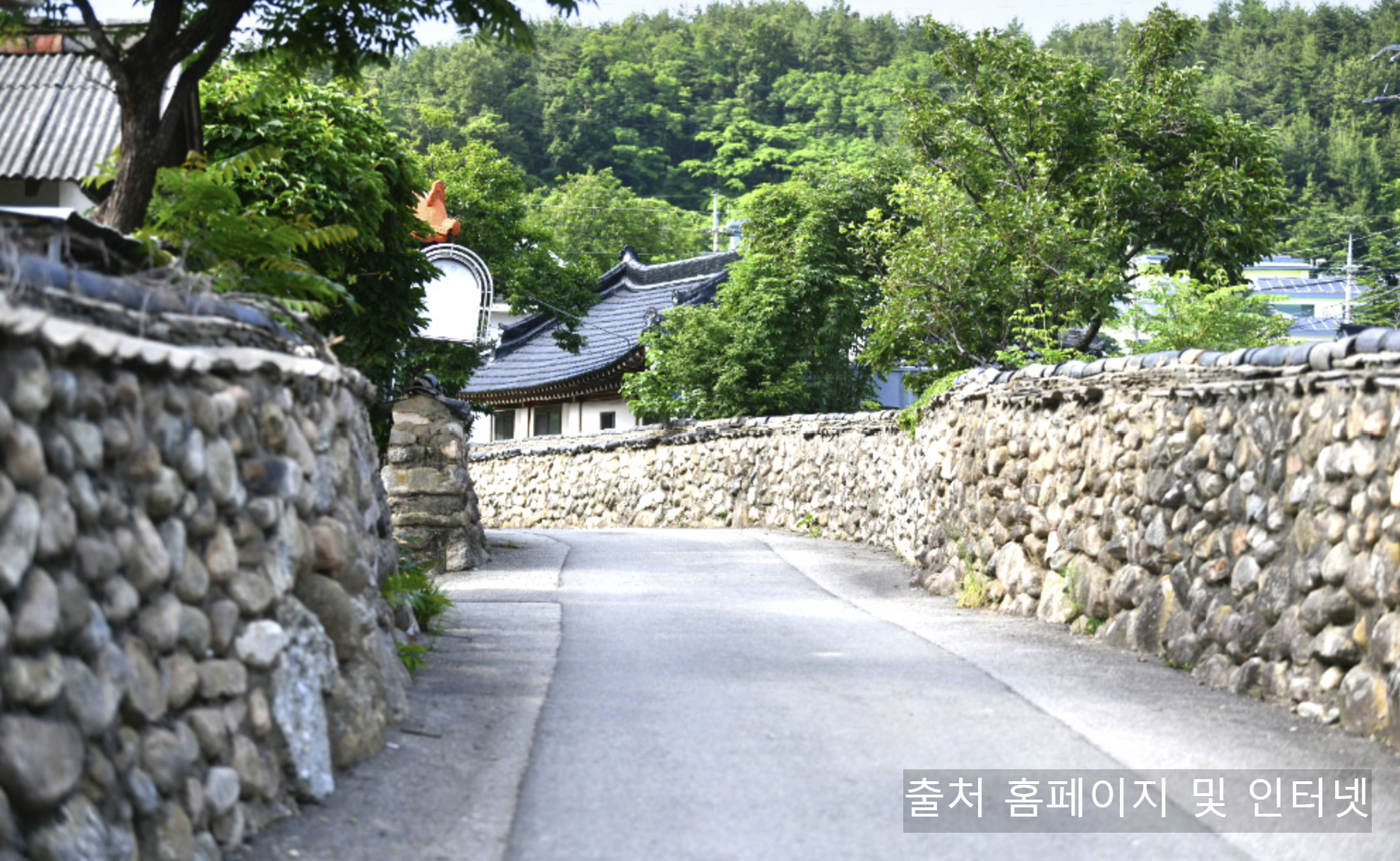 속초 여행코스 추천 나솔사계 촬영지 상도문마을 복돌네 훼미리 민박 돌담 카페 여행