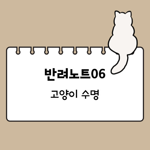 고양이 수명