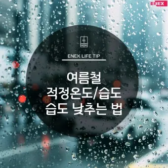 여름철 실내 습기 제거 방법 소금 숯 활용 천연 제습제 만들기 완벽 방법_23