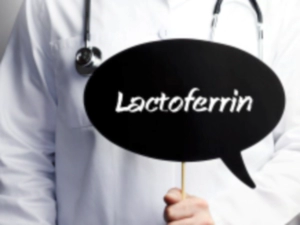 락토페린