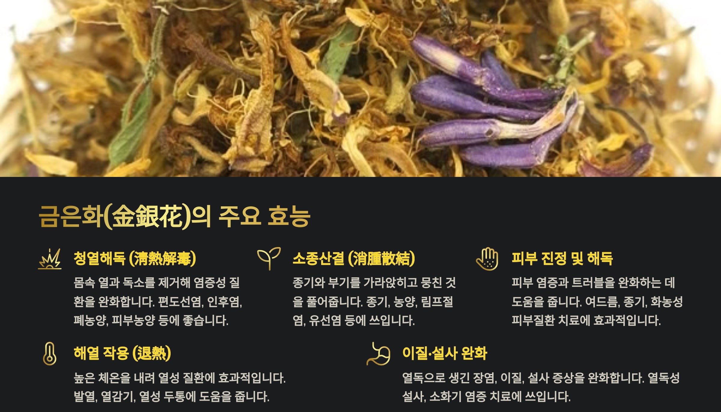 금은화효능 인동초효능