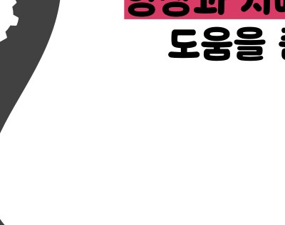 비트 효능 및부작용