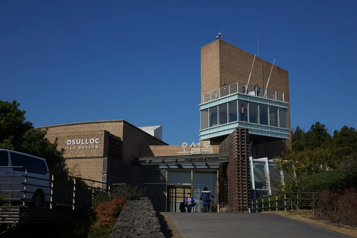 제주 오설록 티뮤지엄 관람 팁과 근처 카페 안내_4