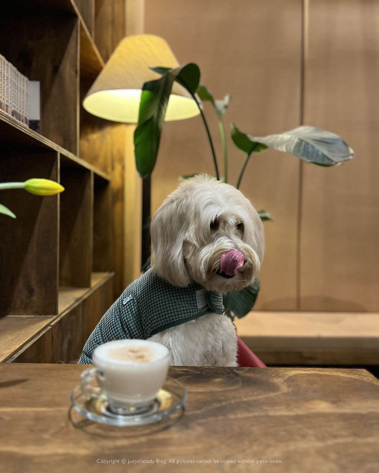 봄날 가기 좋은 잔디마당 카페, 파주애견동반카페