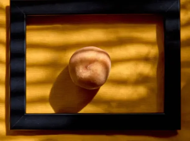 신비복숭아 후숙방법