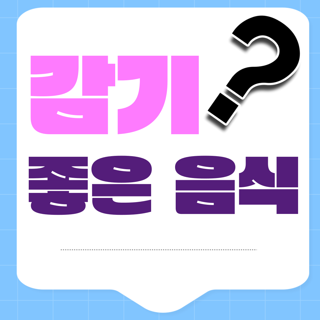 감기에 좋은 음식