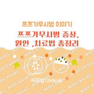 쯔쯔가무시병 증상, 원인, 치료법 총정리