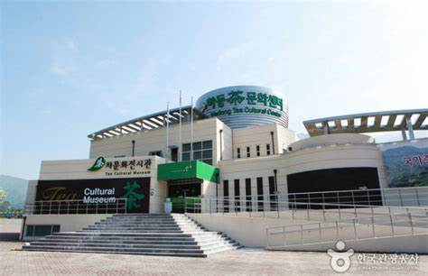 하동 야생차 문하센타 사진