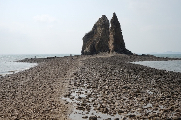 제부도 물때시간표