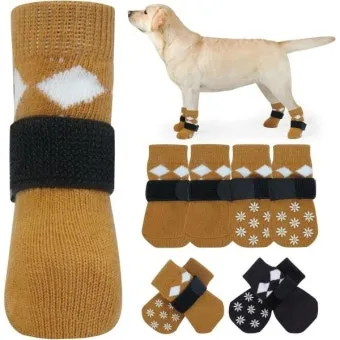 고양이가 발 핥는 이유_5