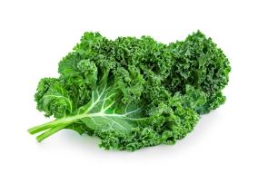 멍 빨리 뺴는데 도움을 주는 음식