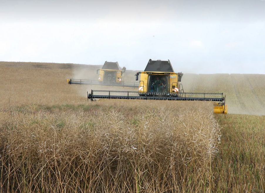 농업 메타버스 (농업 드론 작물관리 사진)