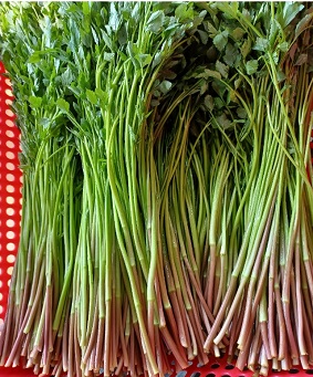 6시내고향-경북-청도-민가네-한재미나리