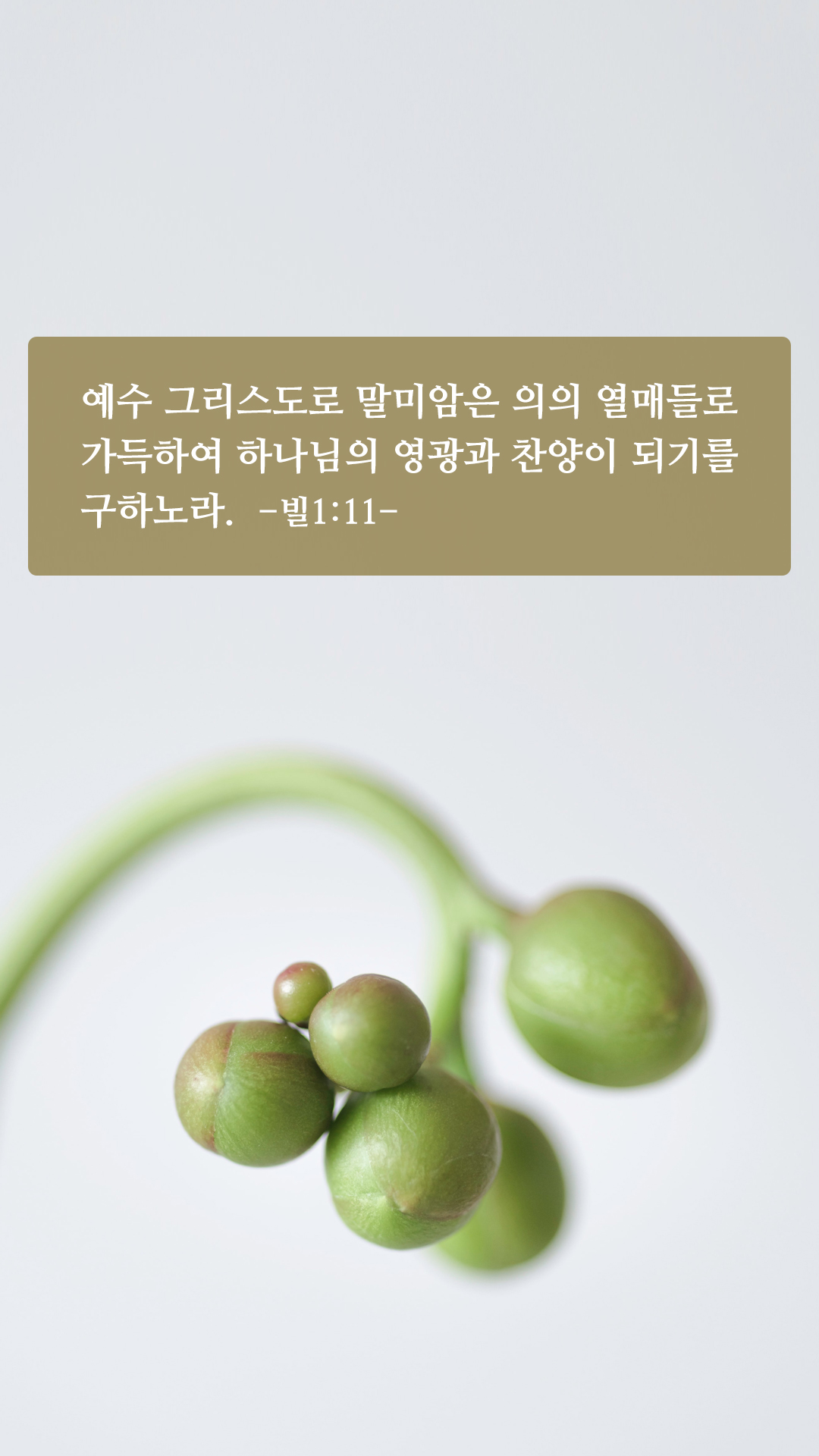 짧고 좋은 성경구절