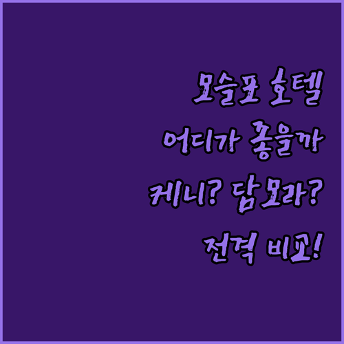 제주 모슬포 호텔 어디로? 케니 vs