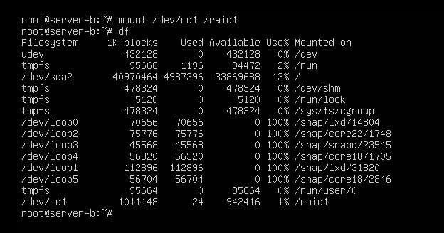 레이드 문제 발생과 조치 방법