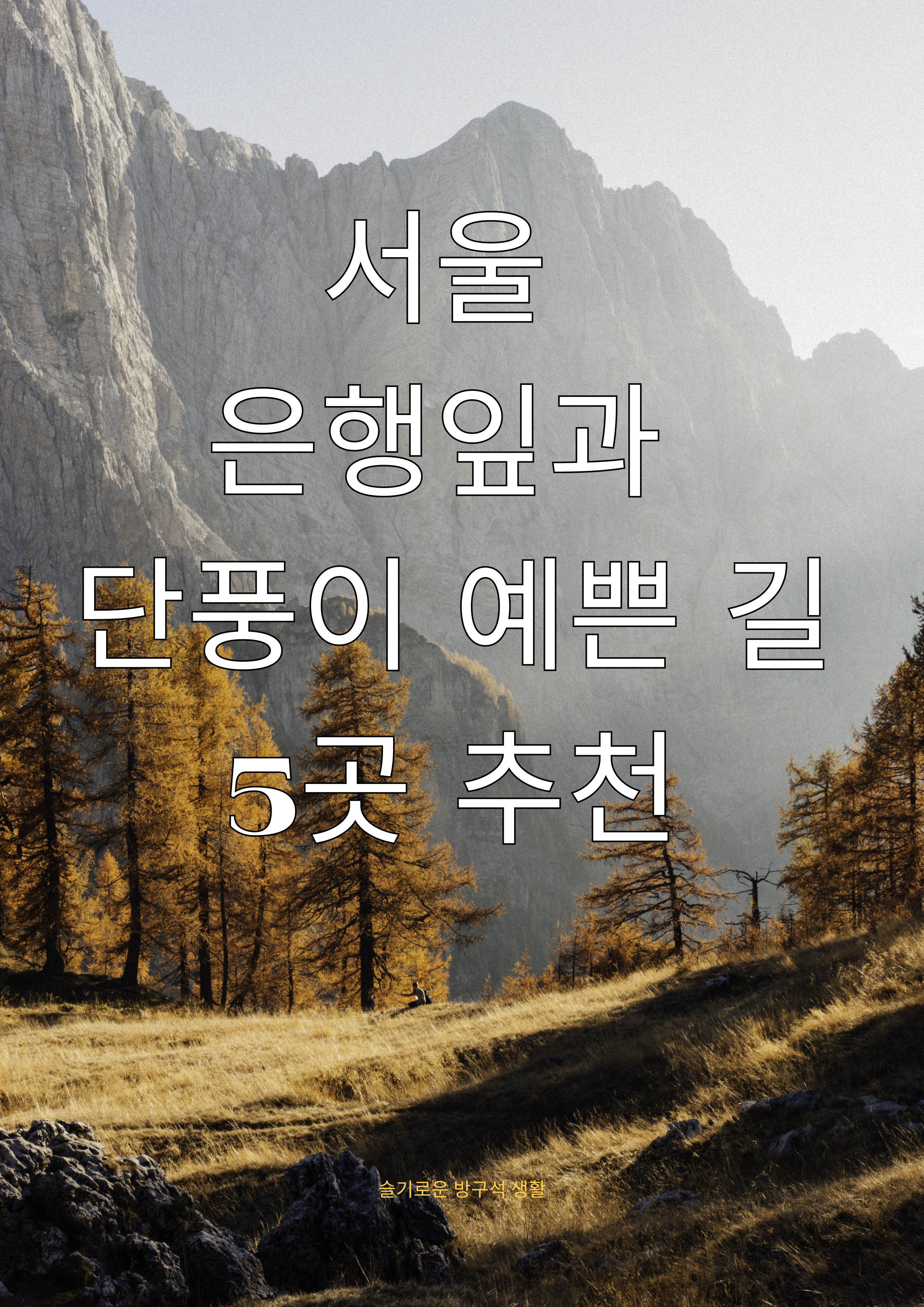 가을 예쁜길 추천