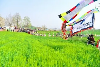 고창 청보리밭 축제 방문자 혜택_18