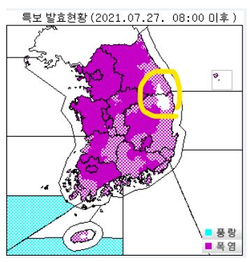 전국 특보 현황