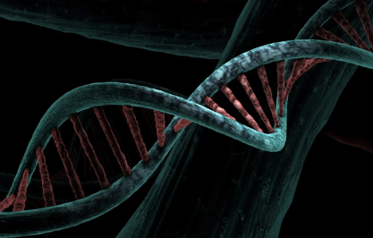 DNA 검사 기반 맞춤 건강관리: 당신의 유전자가 알려주는 건강 설계도