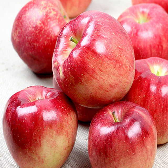 운동 전 먹으면 좋은 음식