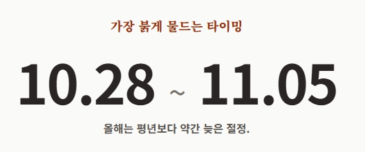 계룡산 단풍 절정시기