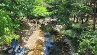 용현자연휴양림