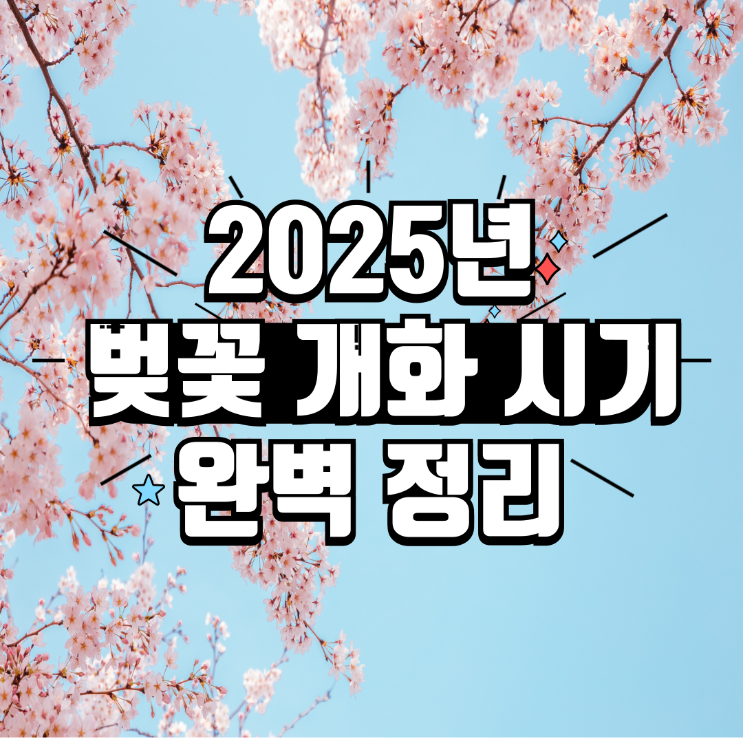 벚꽃 개화 시기 완벽 정리한 이미지