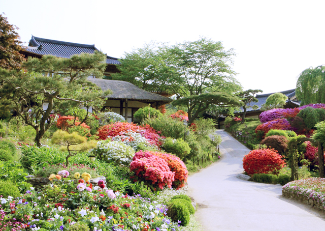 가평 가볼만한 곳