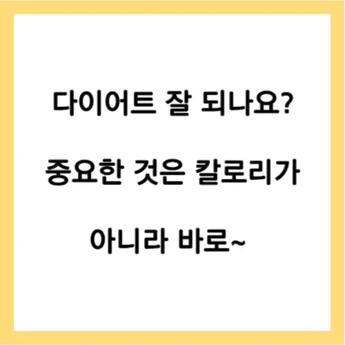 다이어트 칼로리