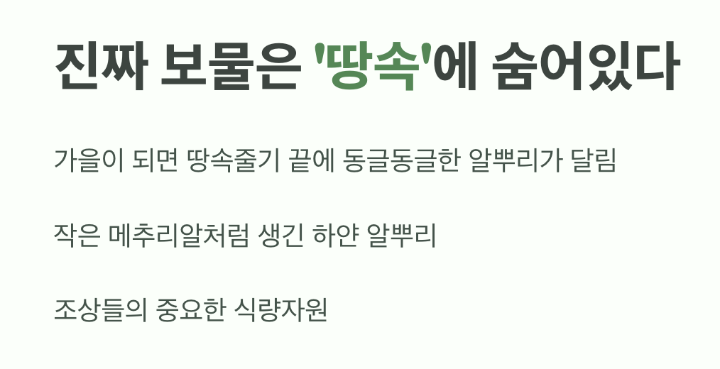 진짜 보물은 '땅속'에 숨어있다