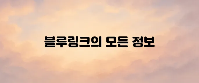 현대 블루링크 홈페이지 바로가기