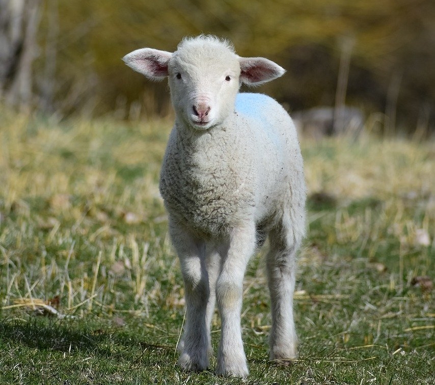 하나님의 이름 관련 성경 구절 모음