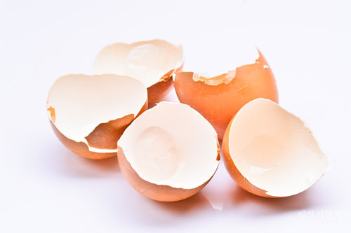 달걀 껍질 활용법, 계란 껍질 활용법 6가지