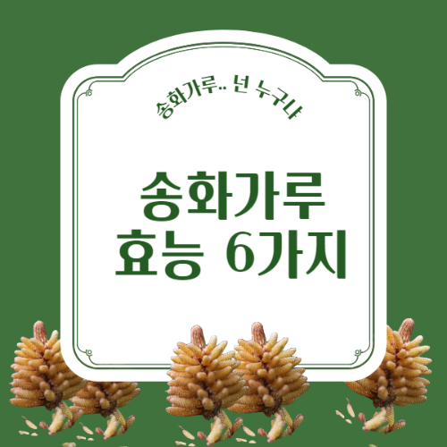 송화가루 효능과 먹는법