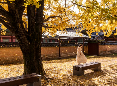 아랑전설 – 울산 아랑의 억울한 죽음과 원혼 이야기