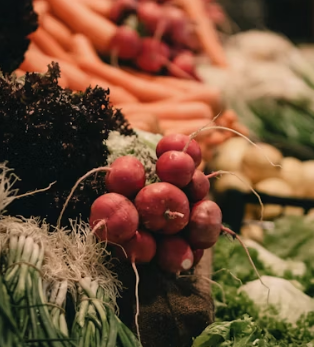 시금치 효능 부작용 고르는법 칼로리