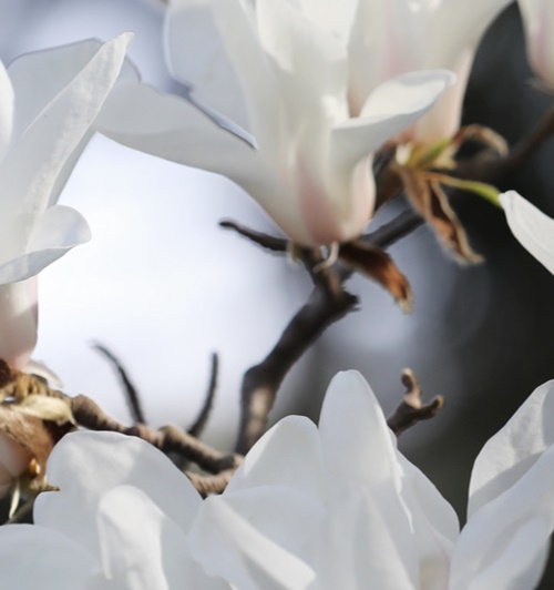 태안 가볼만한곳