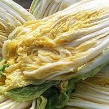 2024 절임배추 구매 방법 사전 예약 