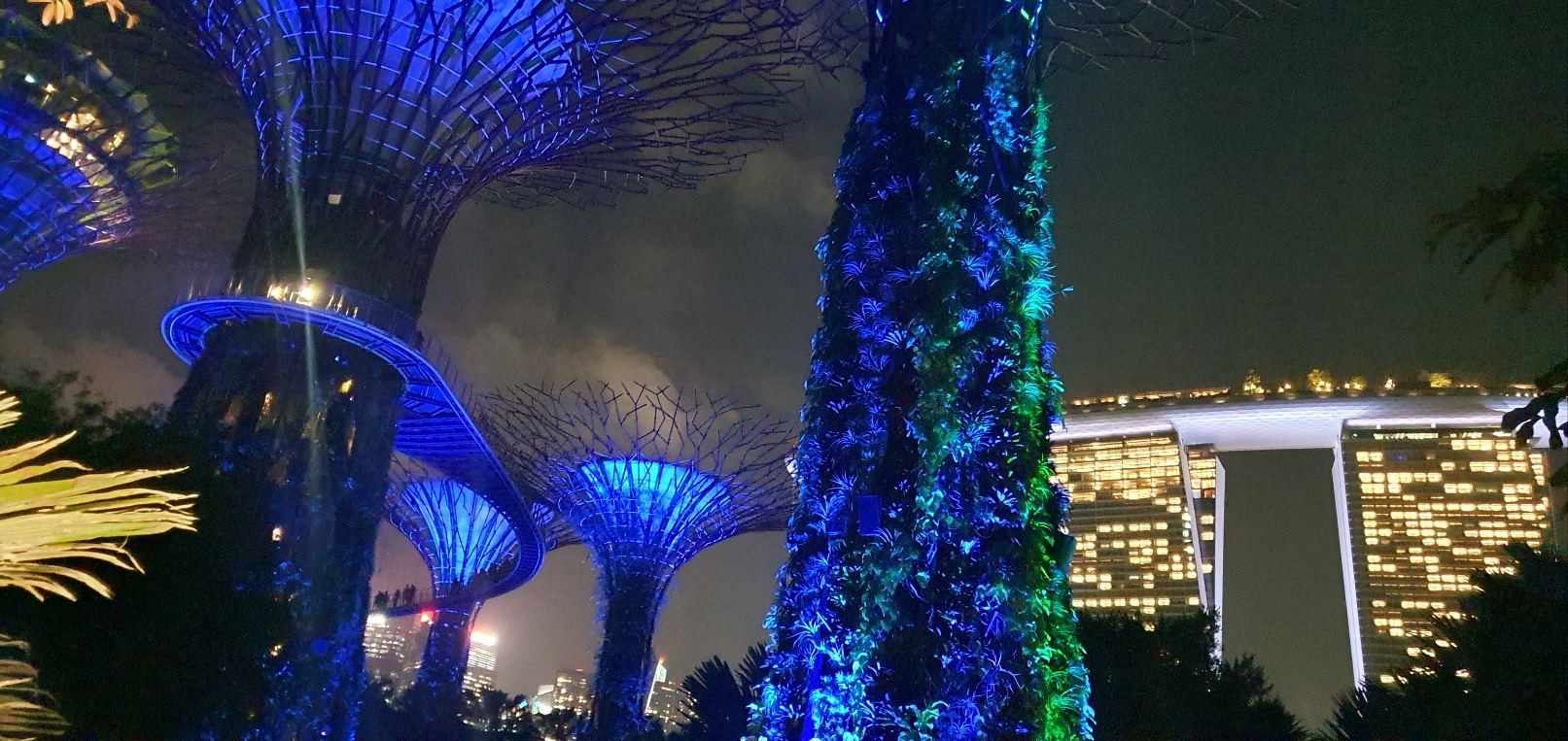 싱가포르 가든스바이더베이